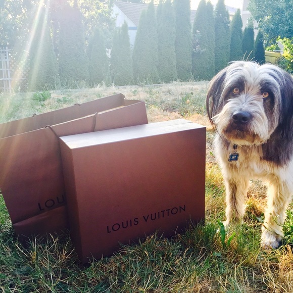 Louis Vuitton box and bag 100% authentic