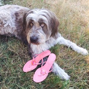 Coach low heal sandals