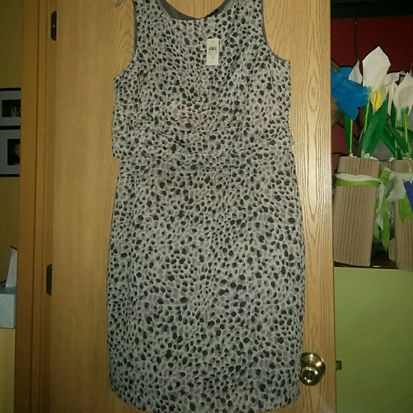Ann Taylor Dress with Rouching at the waist