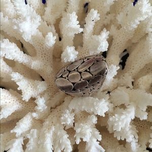 John Hardy silver ring