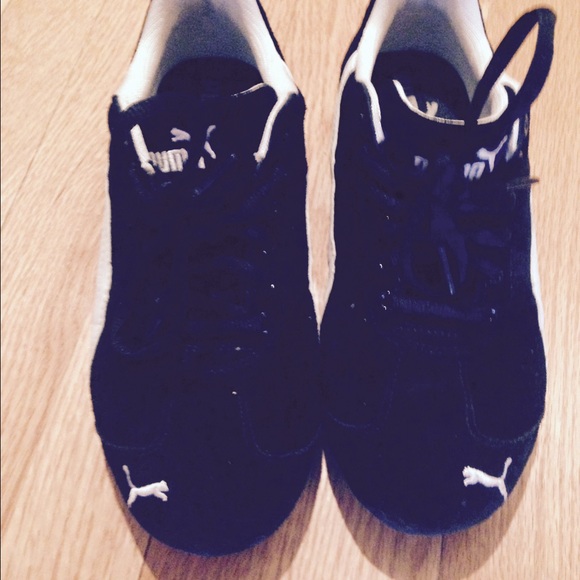 Pumas - Picture 2 of 4