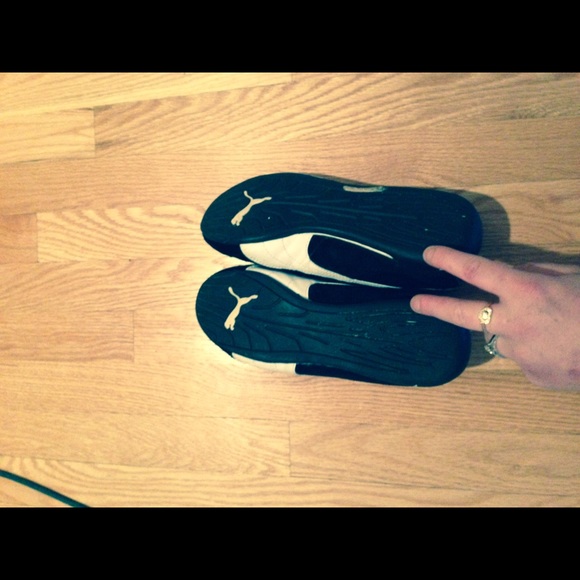 Pumas - Picture 4 of 4