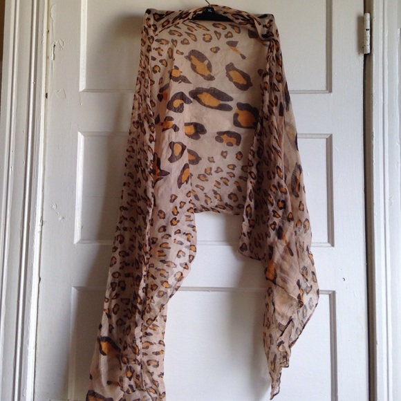Cheetah scave