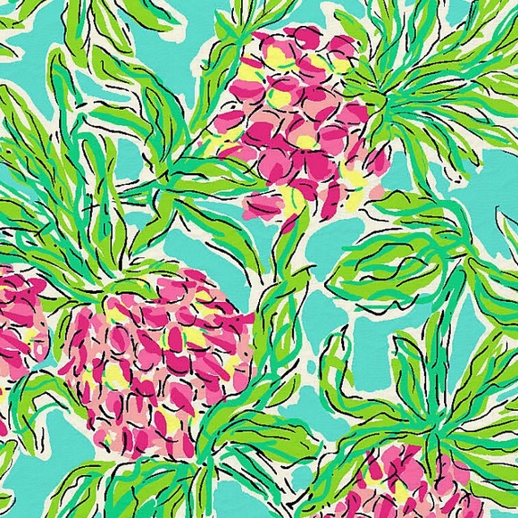 ISO Lilly Prints:ALL FOUND EXCEPT PUNKIN CHUNKIN☺️ - Picture 2 of 4