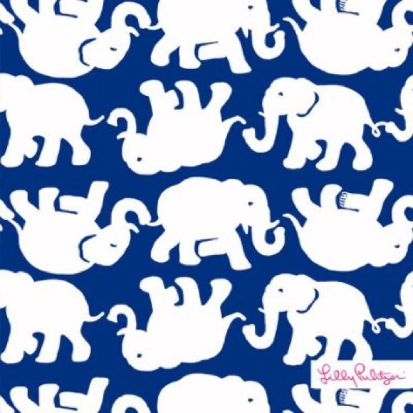 ISO Lilly Prints:ALL FOUND EXCEPT PUNKIN CHUNKIN☺️ - Picture 4 of 4