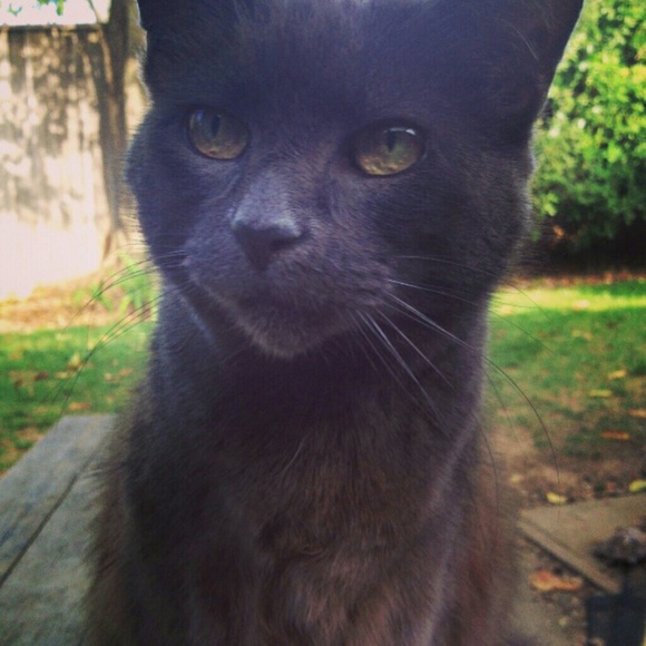 ABOUT ME - Picture 7 of 12