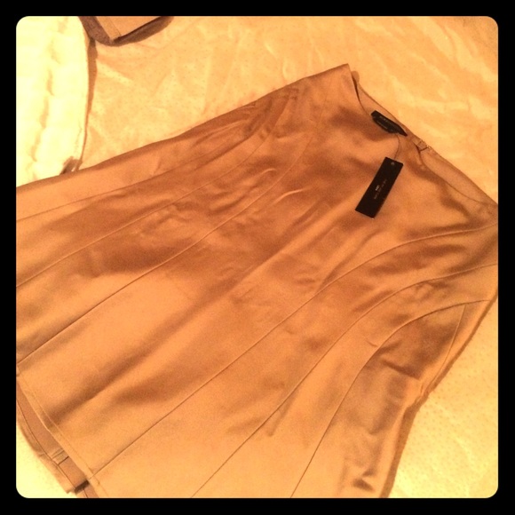 Silk Gold BCBG MaxAzria Fit & Flare Skirt