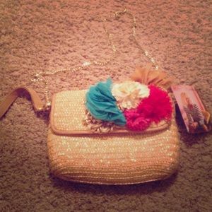 Betsey Johnson handbag/clutch