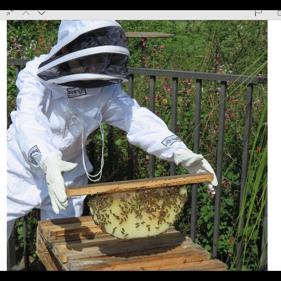 Your seller is a BEEKEEPER!🐝 Make Offers No Fear!