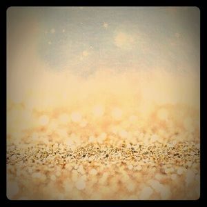 VS black and White bathing suit TOP