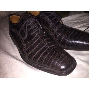 Alligators shoe