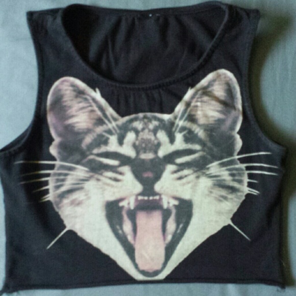 Kitten Crop Top