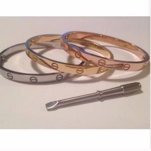 silver bangle bracelet with screw driver