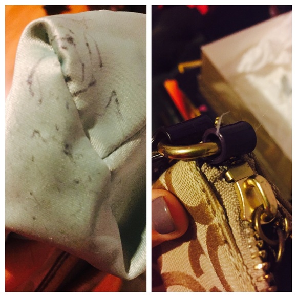 Coach Poppy Crossbody Bag - Picture 4 of 4