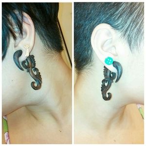 Sono wood plugs
