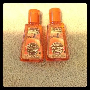 Sweet cinnamon pumpkin  (2014)  Pocketbac (2)