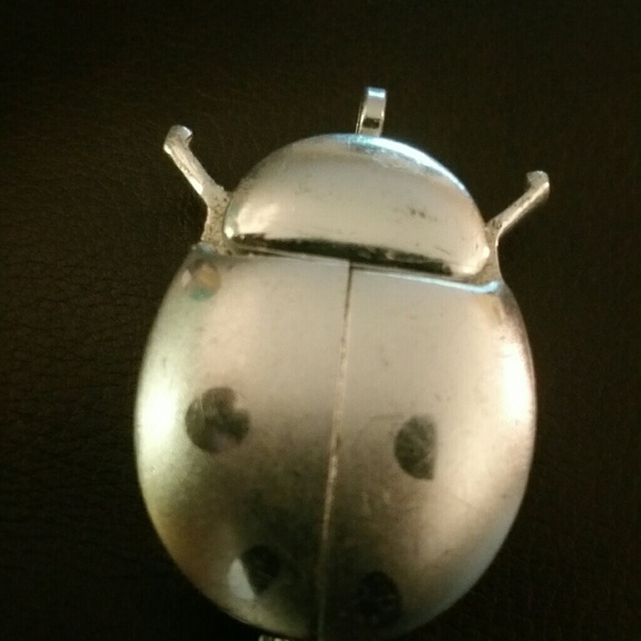 Womens ladybug pendant watch