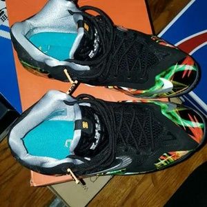 LeBron 11s Everglades