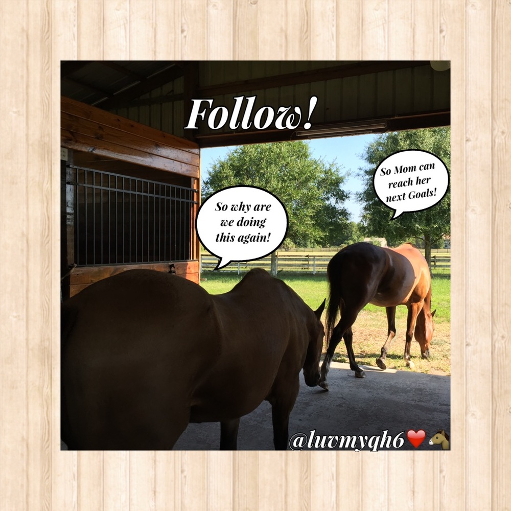 Following Game! Like! Share! & Follow! 🤗❤️🐴 - Picture 5 of 8