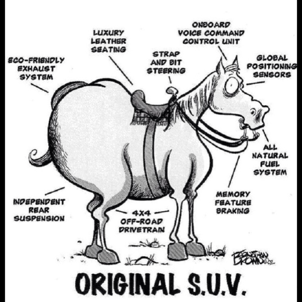 Following Game! Like! Share! & Follow! 🤗❤️🐴 - Picture 8 of 8