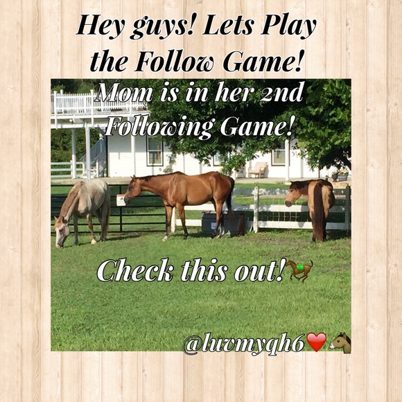 Following Game! Like! Share! & Follow! 🤗❤️🐴 - Picture 1 of 8