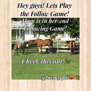 Following Game! Like! Share! & Follow! 🤗❤️🐴