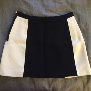 Zara Mini Skirt