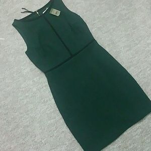 Brand new Ann Taylor Loft dress