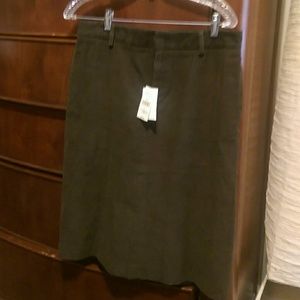Banana Republic Skirt