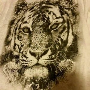 Tiger shirt