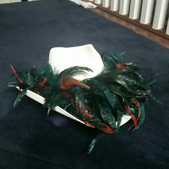 Miami Dolphins Feather Team Colors Hat