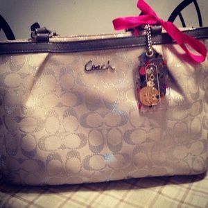 Silver Sparkle Coach Bag