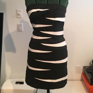 Cache white and black dress