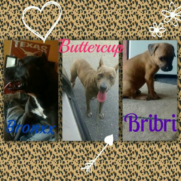 Meet your posher, Biancaa - Picture 2 of 3