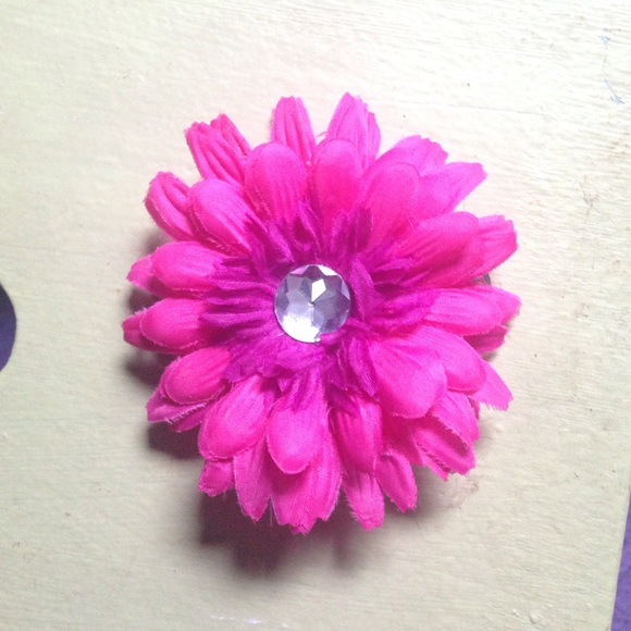 Cute little hair clip