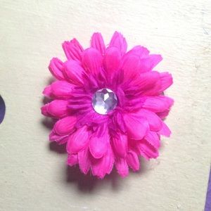 Cute little hair clip