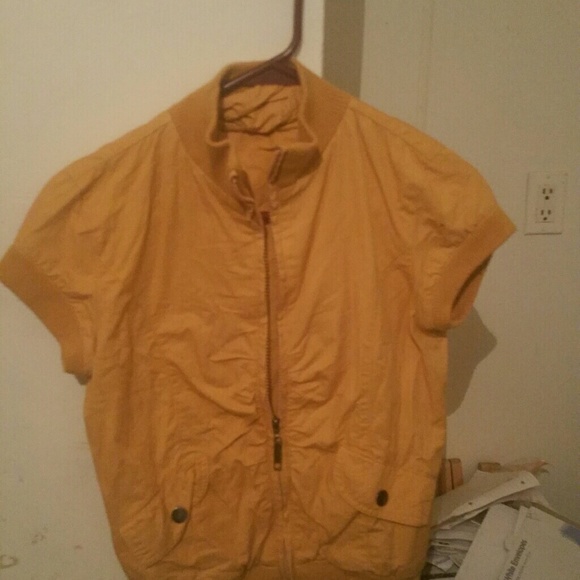 Yellow jacket