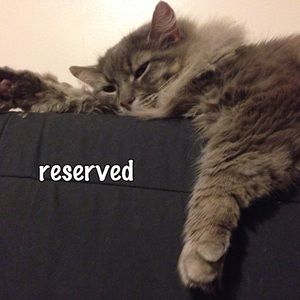 RESERVED - Loft Dress in Green 10 P