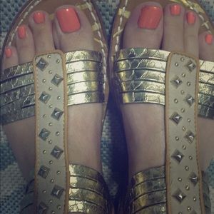 Sam & Libby Gold Gladiators