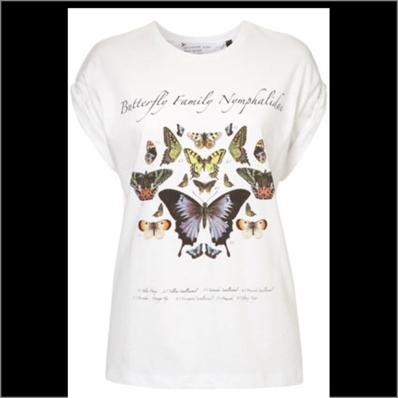 ISO Topshop/Tee and Cake butterfly t shirt