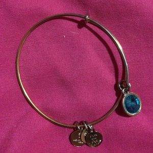 December Birthstone Alex & Ani