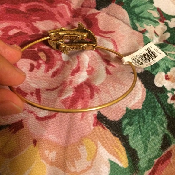 Alex & Ani Dolphin Wrap 🐬🐬 - Picture 2 of 2