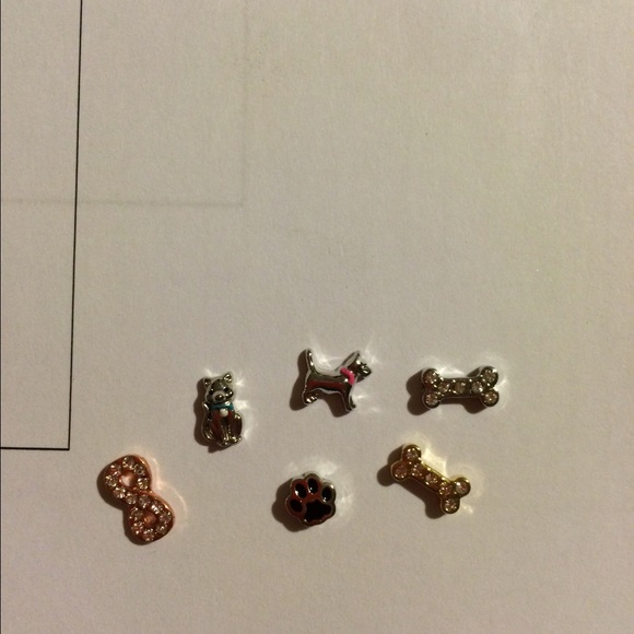6 origami owl charms