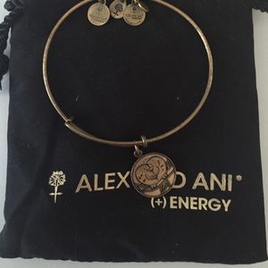Alex & Ani Lovebirds bangle
