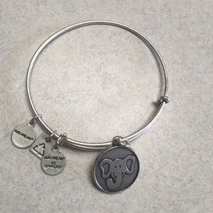 Brand new Alex and Ani bracelet.