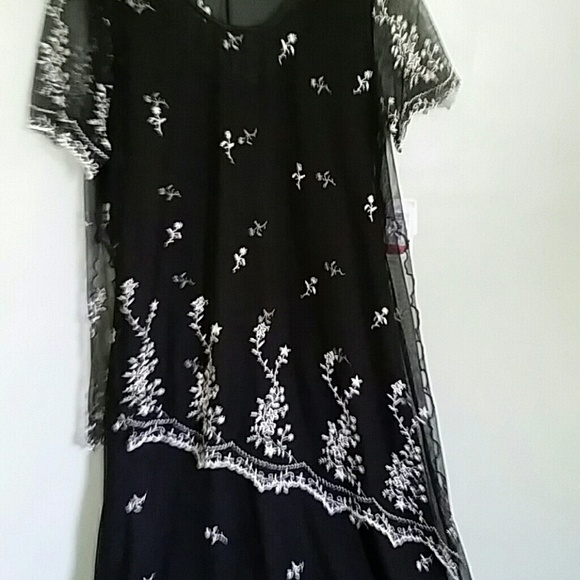 Beautiful, long Sheer Dress (rabbit Designs) - Picture 2 of 4