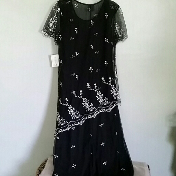 Beautiful, long Sheer Dress (rabbit Designs) - Picture 4 of 4