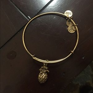 Alex and ani