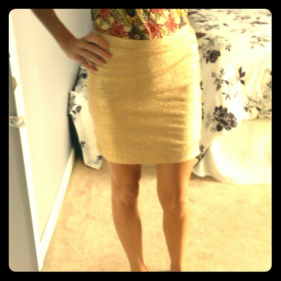 Gold Metallic Skirt - Picture 1 of 1