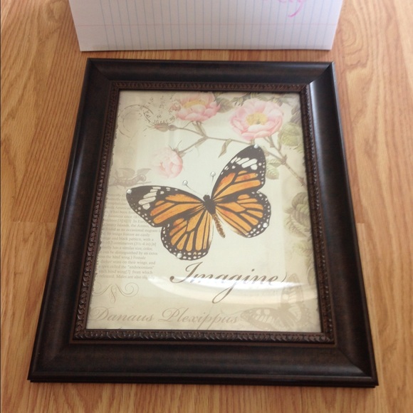 butterfly picture frame